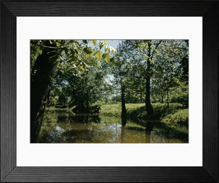 Framed Print : Life On The Bayou Framed Print : Life On The Bayou