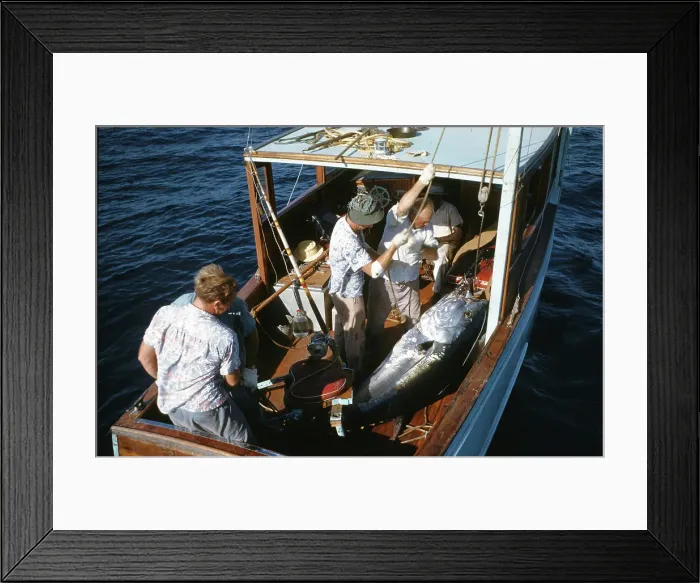 Framed Print : Deep Sea Fishing, Cat Cay Island, Bahamas Framed Print : Deep Sea Fishing, Cat Cay Island, Bahamas