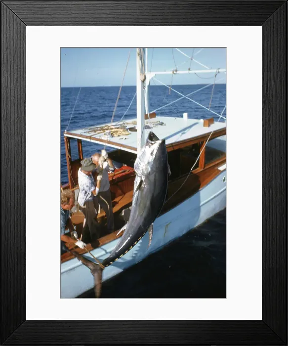Framed Print : Deep Sea Fishing, Cat Cay Island, Bahamas Framed Print : Deep Sea Fishing, Cat Cay Island, Bahamas