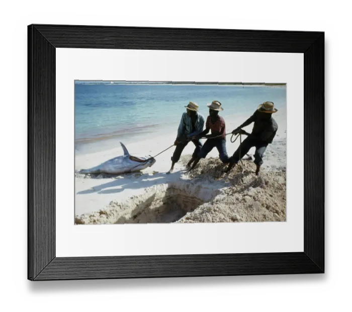 Framed Print : Deep Sea Fishing, Cat Cay Island, Bahamas