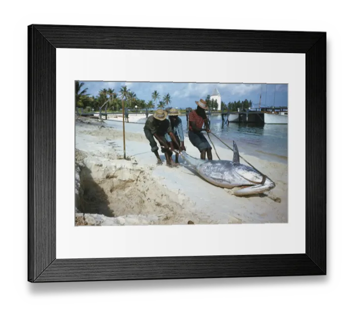 Framed Print : Deep Sea Fishing, Cat Cay Island, Bahamas