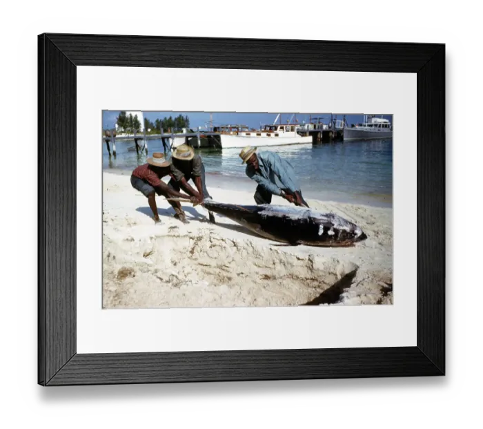 Framed Print : Deep Sea Fishing, Cat Cay Island, Bahamas Framed Print : Deep Sea Fishing, Cat Cay Island, Bahamas
