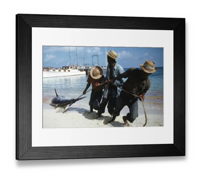 Framed Print : Deep Sea Fishing, Cat Cay Island, Bahamas Framed Print : Deep Sea Fishing, Cat Cay Island, Bahamas