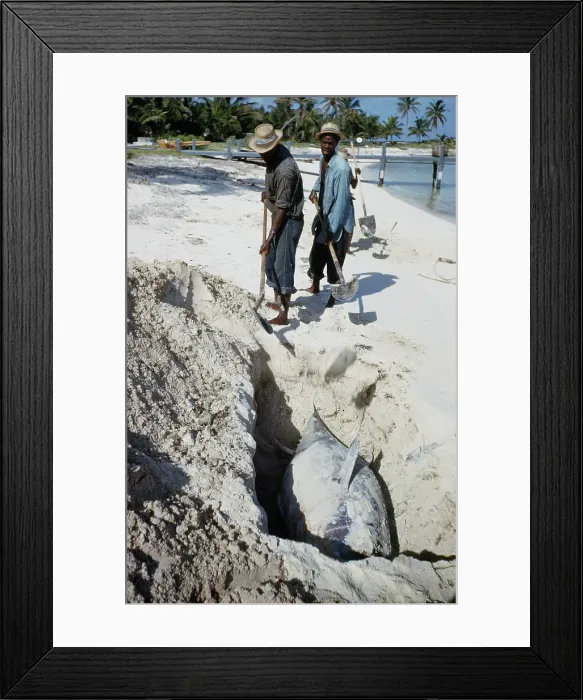 Framed Print : Deep Sea Fishing, Cat Cay Island, Bahamas Framed Print : Deep Sea Fishing, Cat Cay Island, Bahamas