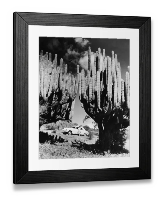 Framed Print : Pan-American Highway Framed Print : Pan-American Highway