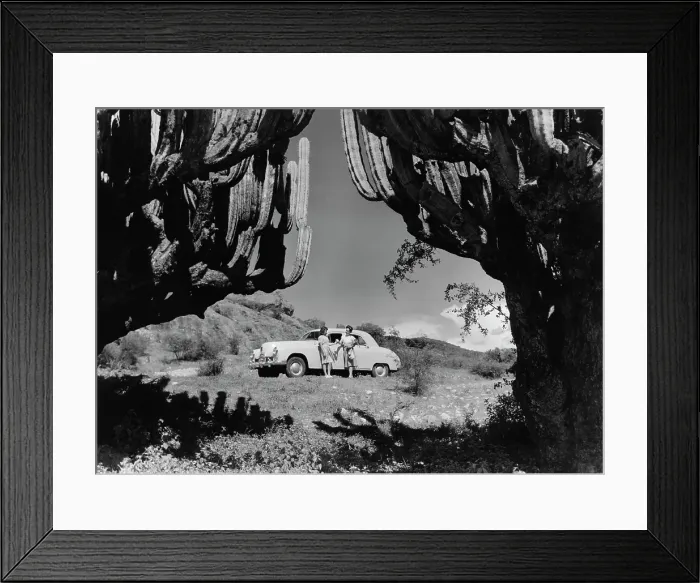 Framed Print : Pan-American Highway Framed Print : Pan-American Highway