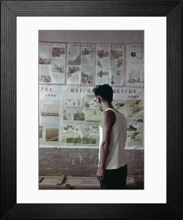 Framed Print : Bulletin Board Framed Print : Bulletin Board