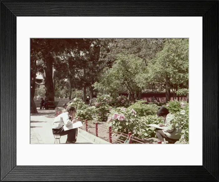 Framed Print : Forbidden Garden Framed Print : Forbidden Garden