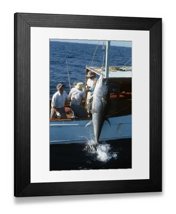 Framed Print : Deep Sea Fishing, Cat Cay Island, Bahamas Framed Print : Deep Sea Fishing, Cat Cay Island, Bahamas