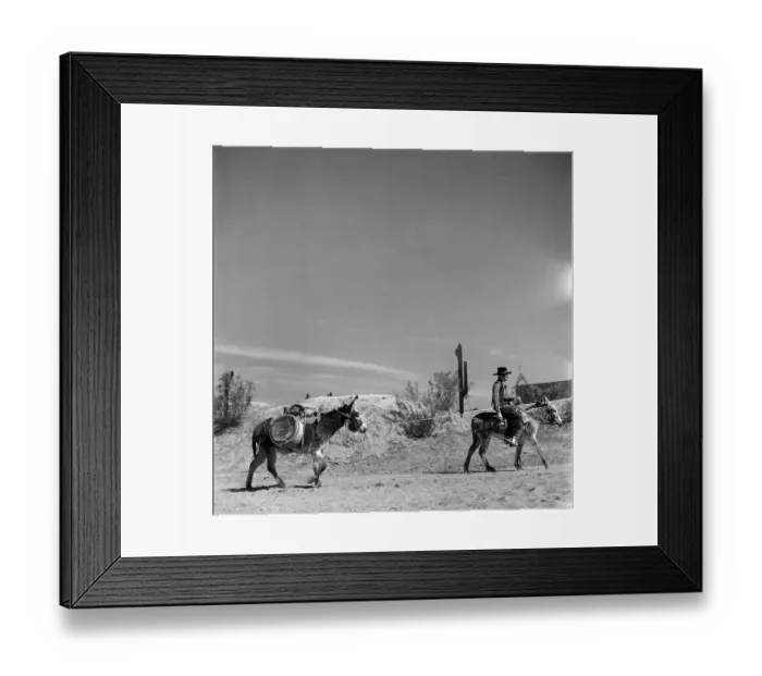 Framed Print : Mexican American Border Framed Print : Mexican American Border
