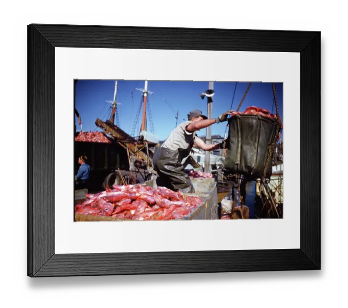 Framed Print : Gloucester, Massachusetts Framed Print : Gloucester, Massachusetts
