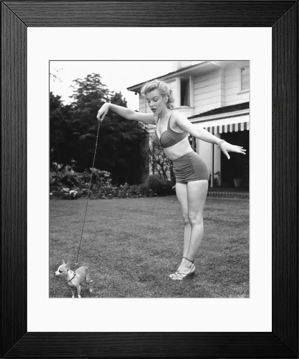 Framed Print : Marilyn Photo Session In Beverly Hills