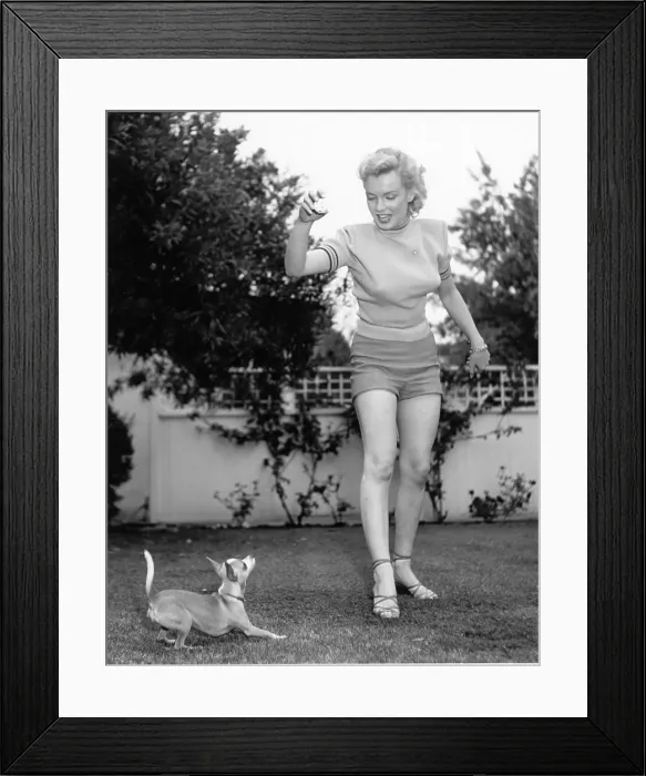 Framed Print : Marilyn Photo Session In Beverly Hills Framed Print : Marilyn Photo Session In Beverly Hills