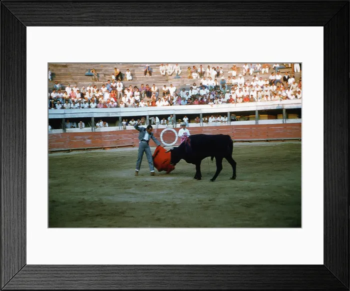 Framed Print : Bullfighting in Mexico City Framed Print : Bullfighting in Mexico City
