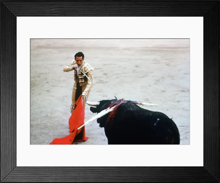Framed Print : Bullfighting in Mexico City Framed Print : Bullfighting in Mexico City