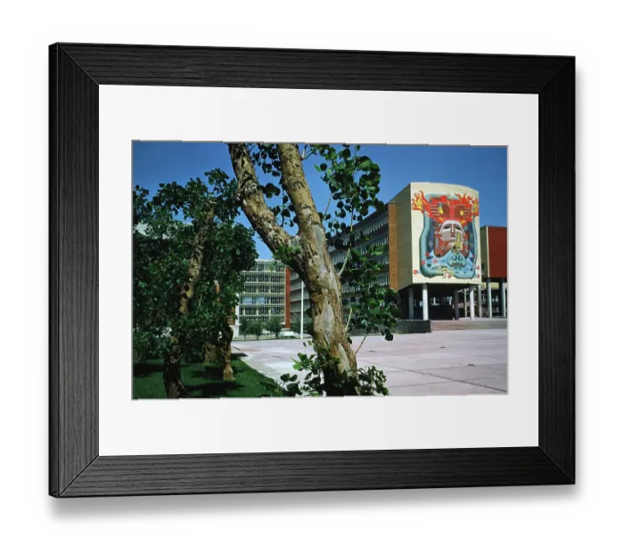 Framed Print : University City Campus of the Universidad Nacional Autonoma Framed Print : University City Campus of the Universidad Nacional Autonoma
