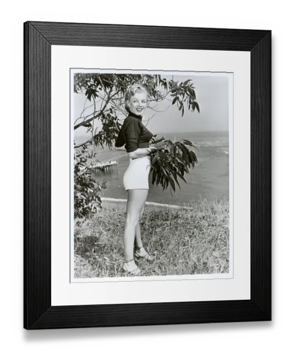 Framed Print : On The Bluffs Framed Print : On The Bluffs