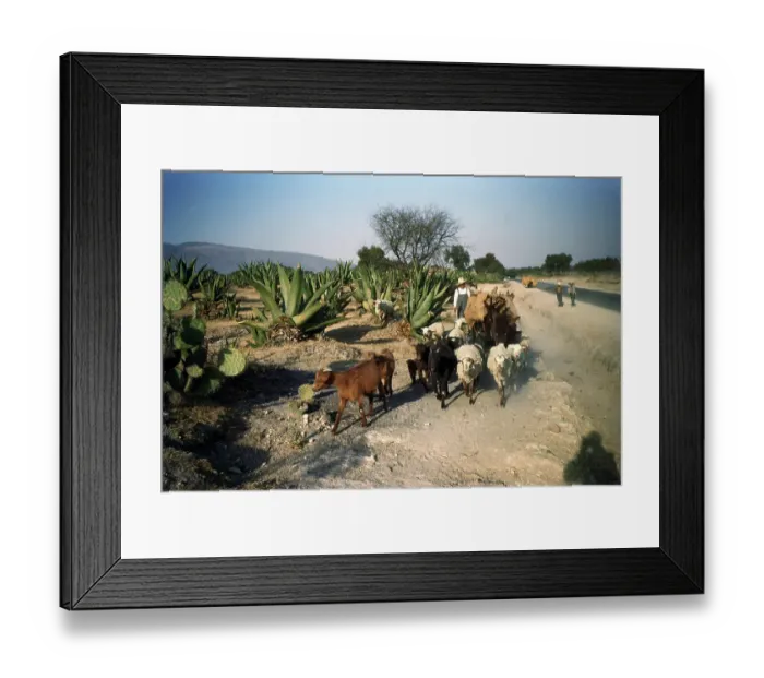 Framed Print : Taxco Mexico Framed Print : Taxco Mexico