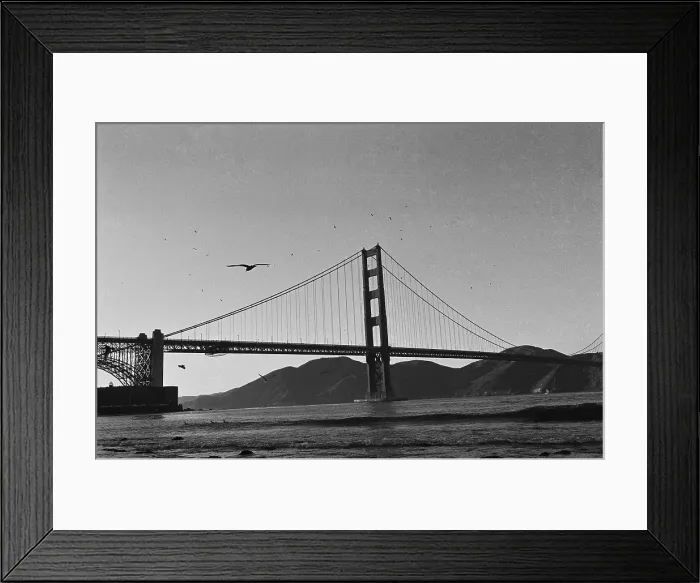 Framed Print : The Golden Gate Bridge Framed Print : The Golden Gate Bridge