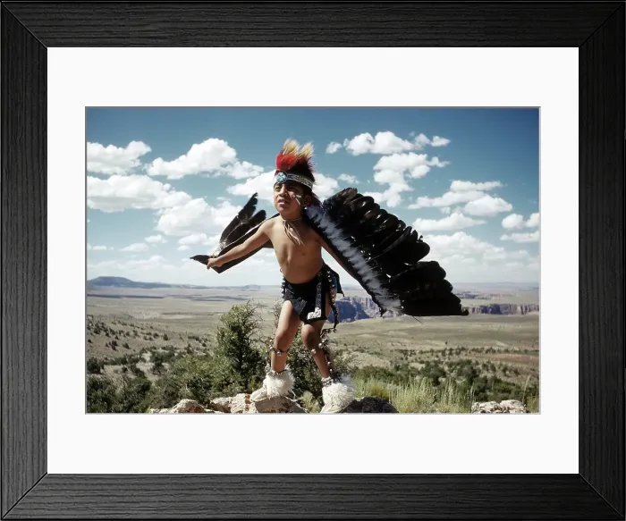 Framed Print : LEARNING THE EAGLE DANCE IN GRAND CANYON Framed Print : LEARNING THE EAGLE DANCE IN GRAND CANYON
