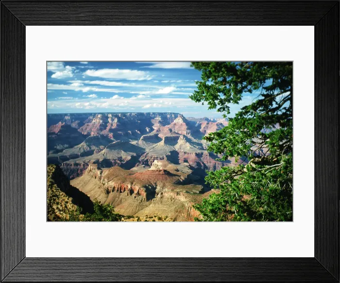 Framed Print : Grand Canyon Framed Print : Grand Canyon