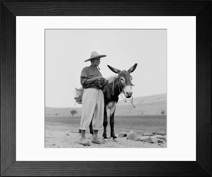 Framed Print : Jalisco, Mexico Framed Print : Jalisco, Mexico