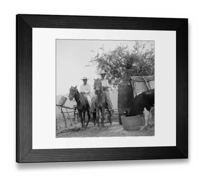 Framed Print : Jalisco, Mexico Framed Print : Jalisco, Mexico