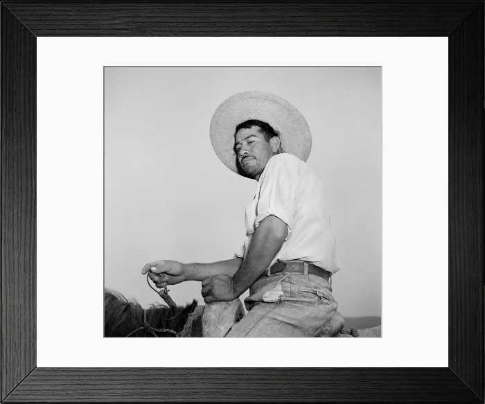 Framed Print : Jalisco, Mexico Framed Print : Jalisco, Mexico