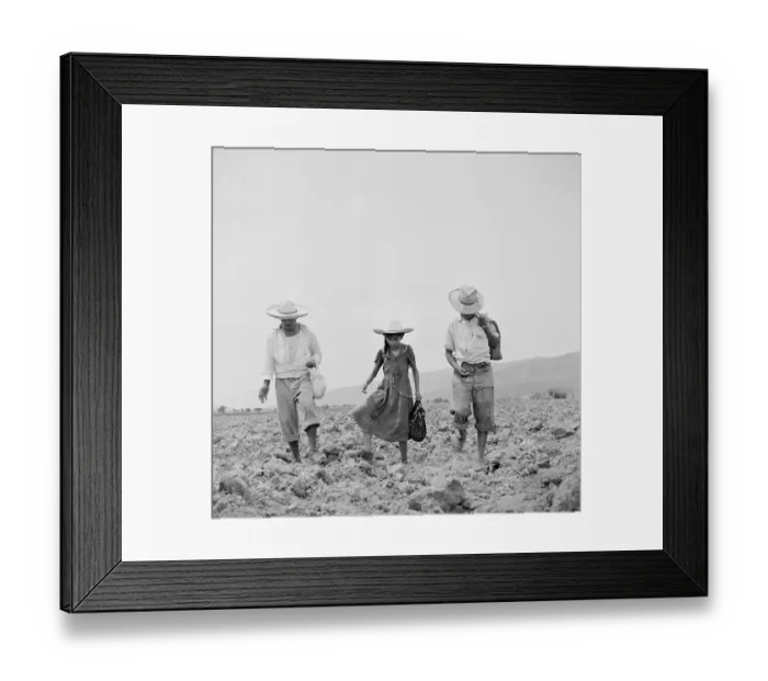 Framed Print : Jalisco, Mexico Framed Print : Jalisco, Mexico