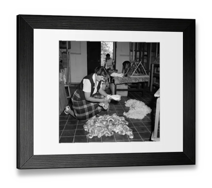 Framed Print : Silk farming in Jalisco, Mexico Framed Print : Silk farming in Jalisco, Mexico