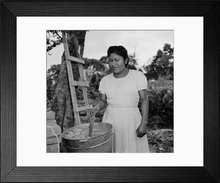 Framed Print : Silk farming in Jalisco, Mexico Framed Print : Silk farming in Jalisco, Mexico