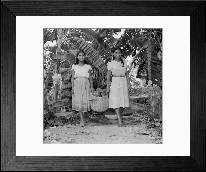 Framed Print : Silk farming in Jalisco, Mexico Framed Print : Silk farming in Jalisco, Mexico