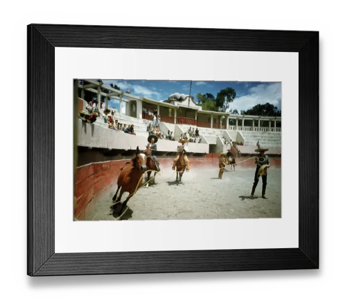 Framed Print : Bull fighting in Acapulco Framed Print : Bull fighting in Acapulco
