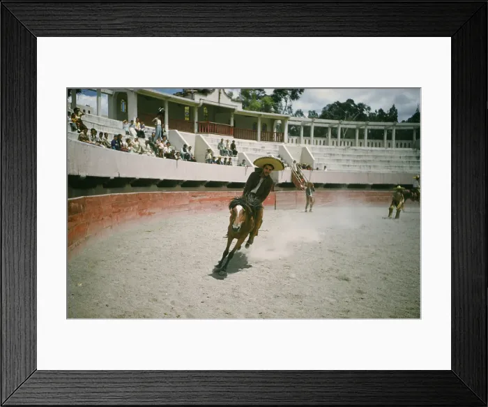 Framed Print : Bull fighting in Acapulco Framed Print : Bull fighting in Acapulco