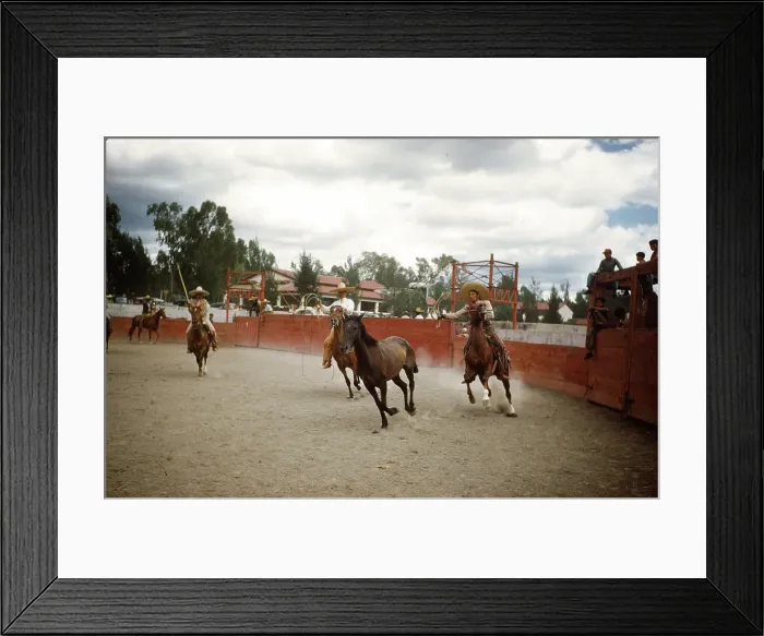Framed Print : Bull fighting in Acapulco Framed Print : Bull fighting in Acapulco