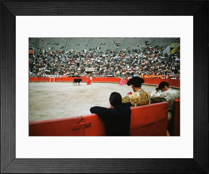 Framed Print : Bull fighting in Acapulco Framed Print : Bull fighting in Acapulco