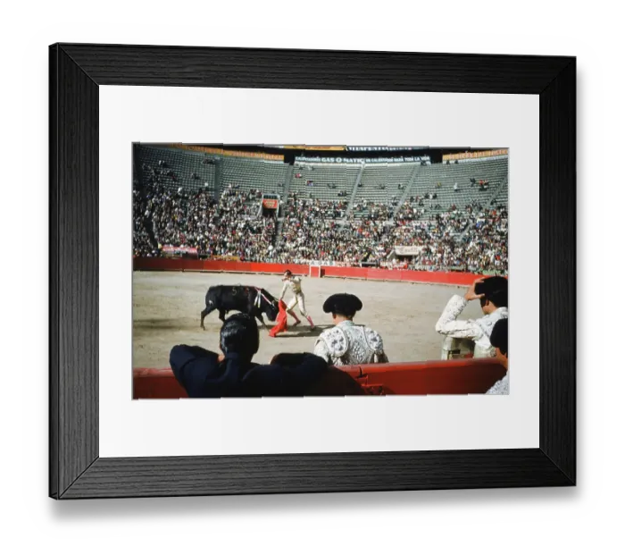 Framed Print : Bull fighting in Acapulco Framed Print : Bull fighting in Acapulco