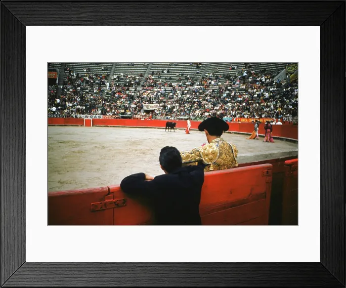 Framed Print : Bull fighting in Acapulco Framed Print : Bull fighting in Acapulco