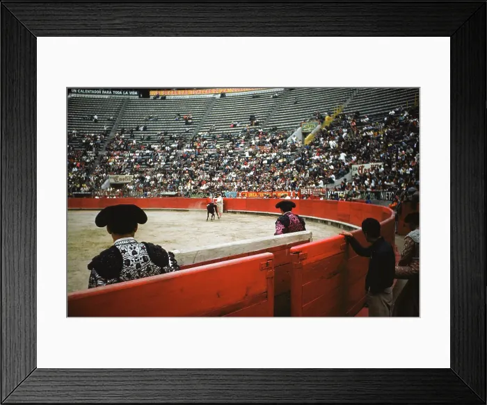Framed Print : Bull fighting in Acapulco Framed Print : Bull fighting in Acapulco