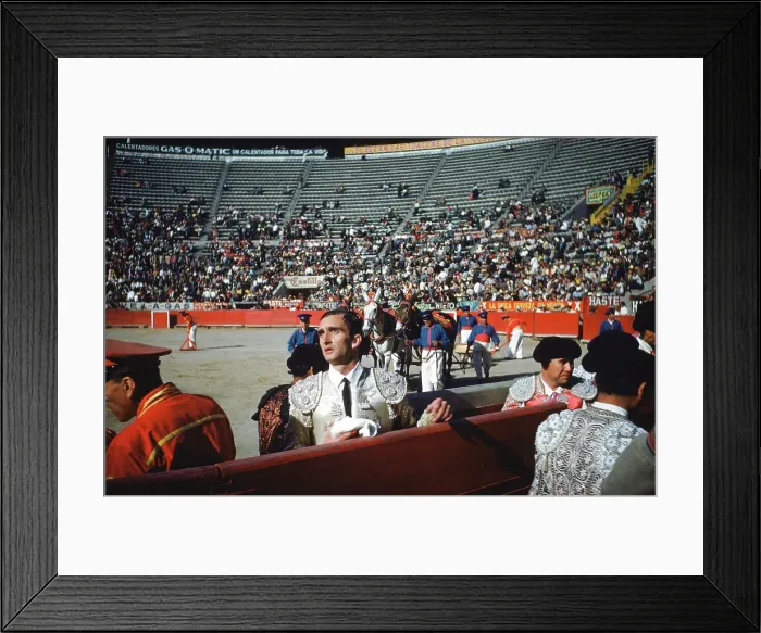 Framed Print : Bull fighting in Acapulco Framed Print : Bull fighting in Acapulco