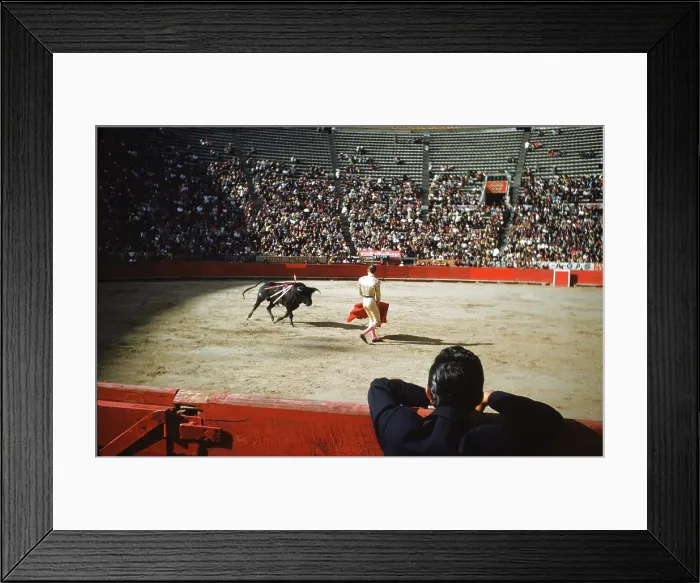 Framed Print : Bull fighting in Acapulco Framed Print : Bull fighting in Acapulco