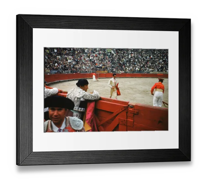 Framed Print : Bull fighting in Acapulco Framed Print : Bull fighting in Acapulco