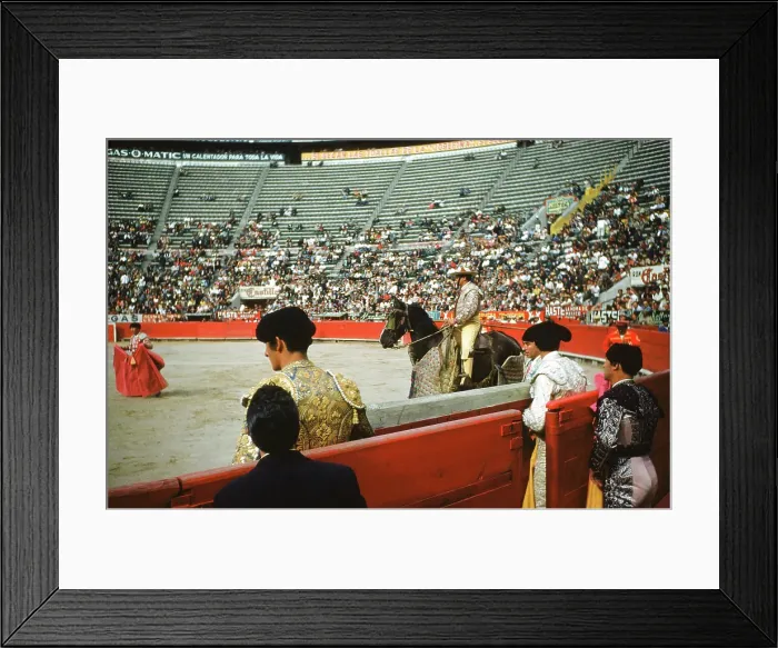 Framed Print : Bull fighting in Acapulco Framed Print : Bull fighting in Acapulco