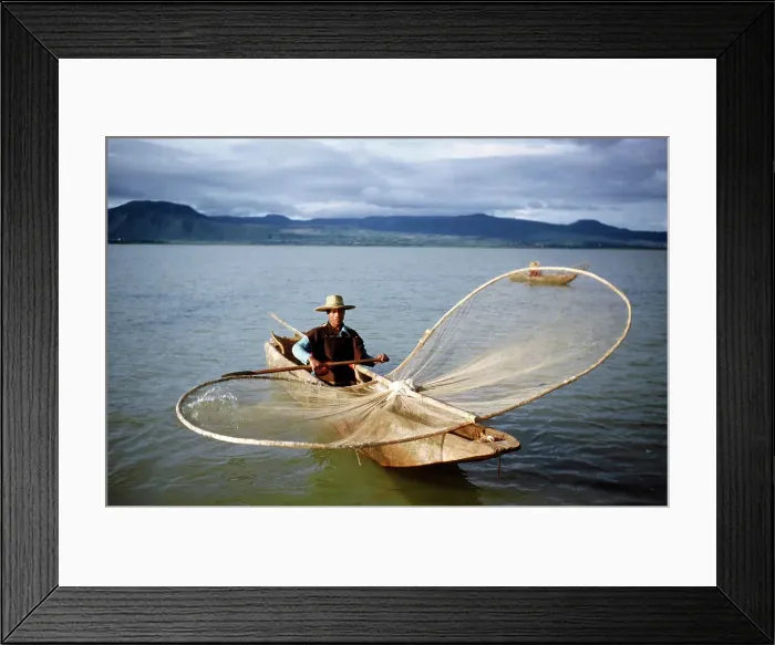 Framed Print : Butterfly Net Fishing