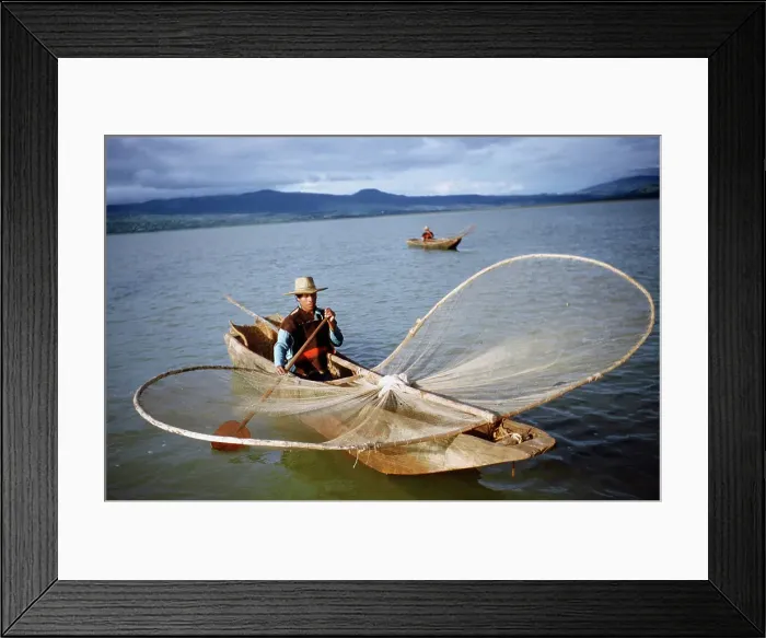 Framed Print : Butterfly Net Fishing Framed Print : Butterfly Net Fishing
