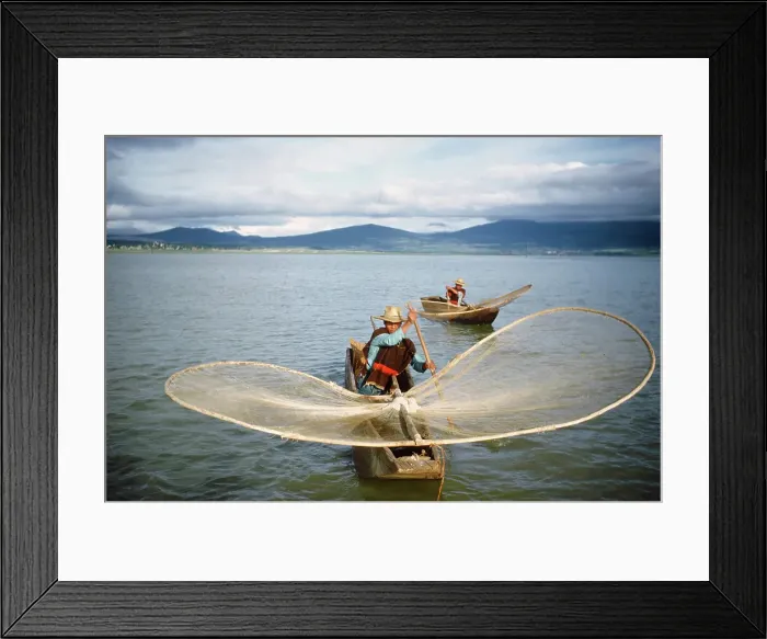 Framed Print : Butterfly Net Fishing Framed Print : Butterfly Net Fishing