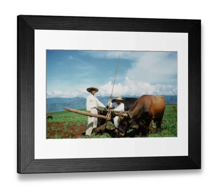 Framed Print : Farming in Mexico Framed Print : Farming in Mexico