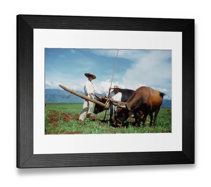 Framed Print : Farming in Mexico Framed Print : Farming in Mexico