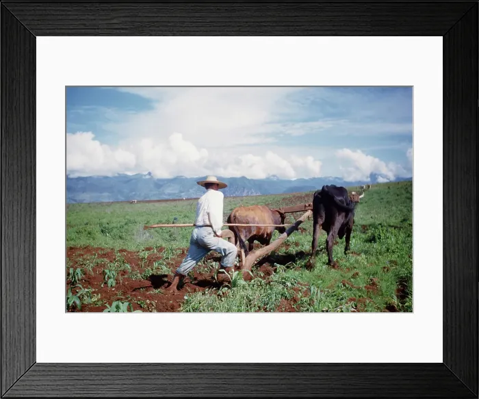 Framed Print : Farming in Mexico Framed Print : Farming in Mexico