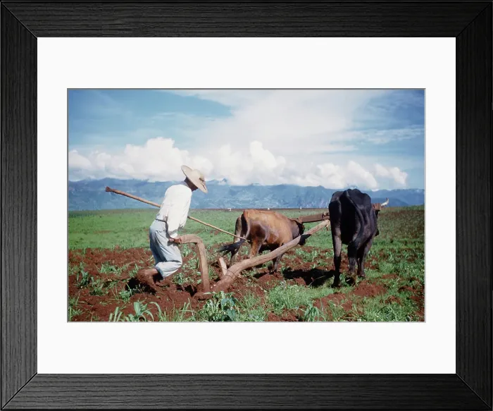 Framed Print : Farming in Mexico Framed Print : Farming in Mexico